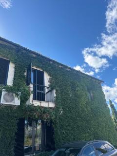 Casa Libelula - 4