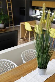 4 Lulworth - Johannesburg - 5