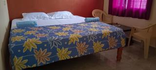 Ashwini home stay hampi - Hampi - 1