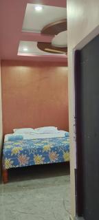 Ashwini home stay hampi - Hampi - 3