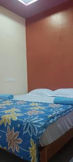 Ashwini home stay hampi - Hampi - 4
