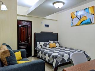 Comfortable fully-equipped studio with free wifi, gym & amazing rooftop views - Nairobi - 4