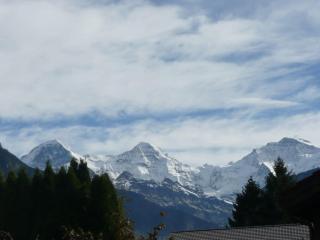 Swiss Traditional Chalet with Alpine Mtn View - Unterseen - 5