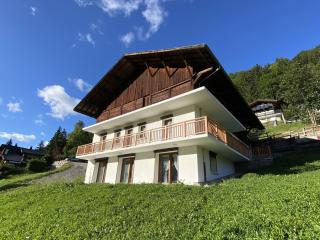 Appartement neuf 3* pour 6 pers., terrasse, parking, proche centre et remontées, Châtel - FR-1-676-192 - Châtel - 7