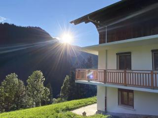 Appartement neuf 3* pour 6 pers., terrasse, parking, proche centre et remontées, Châtel - FR-1-676-192 - Châtel - 6