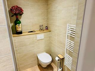 Studio Cosy - Chasseneuil-du-Poitou - 4