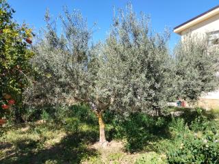 A Casa Mia - Butera - 5
