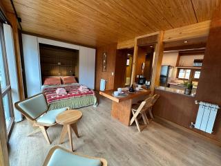 Hermoso monoambiente de diseño en el centro de SMA 12V4 - 9