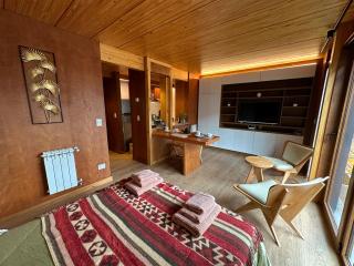 Hermoso monoambiente de diseño en el centro de SMA 12V4 - 7