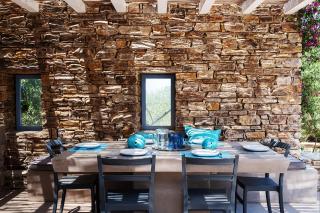 Antiparos Olive House - Andiparo - 7