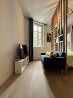 Blue Forest - T1 Hyper centre - Paisible - Toulouse - 9