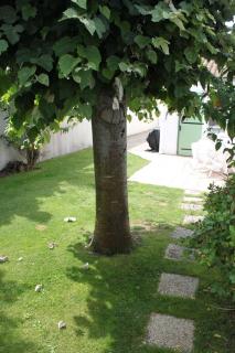 Escapade Île de Ré - 7