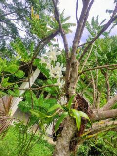 Cozy Beach Home w Village Charm - 7