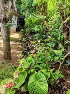 Cozy Beach Home w Village Charm - Tangalle - 1