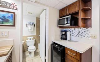 Waikiki Palms in Paradise apts - 4