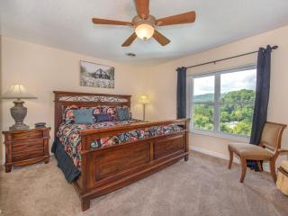 WP553 Absolute Delight - Pigeon Forge - 4