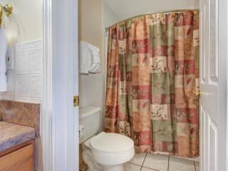 WP553 Absolute Delight - Pigeon Forge - 2