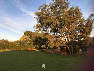 Shepherds Haven - - 4