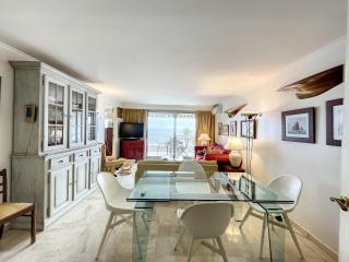 Front de mer, superbe terrasse vue mer 283L CHANS - 5