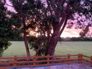 Shepherds Haven - - 2
