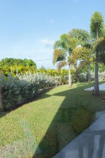Hill Rock villas - Blue Silver - Petit-Bourg - 5