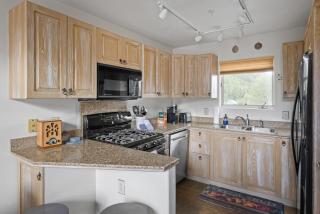 Telluride Resort View at Double Diamond - ski-in-out and hot tub! - 4