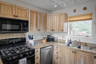 Telluride Resort View at Double Diamond - ski-in-out and hot tub! - 3