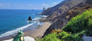 Playa Benijo Paraíso Rural Trail - Santa Cruz de Tenerife - 0