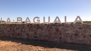 La Baguala - Pajas Blancas - 5