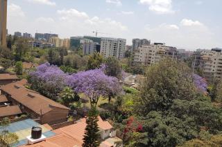 1 Br Gretchen leafy home-with view & sunset, gym, parking, Wifi, hairdryer, washing machine - Nairobi - 3