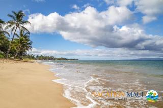 Kihei Garden Estates C-105 - Steps to Beach, AC! - Kihei - 4