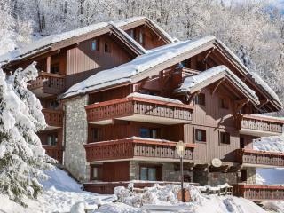 Appartement cosy ski aux pieds avec piscine et spa - FR-1-566-46 - Les Allues - 1