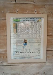 Maison du chat bleu - 3