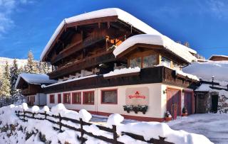 Bergwald Appartements Alpbach - 0