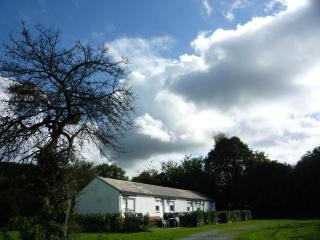 Le Brissoneau Rendeux - 1