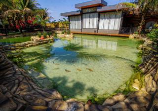 Carpe Diem Eco Resort Olímpia - Olímpia - 6