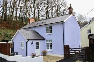 Butlers Cottage - Llandysul - 9