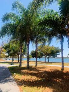 Flat moderno e aconchegante às margens do lago - 1