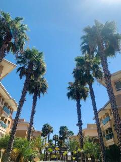 Flat moderno e aconchegante às margens do lago - 3