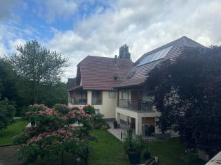 Gîtes Grewis - La Wantzenau - 0