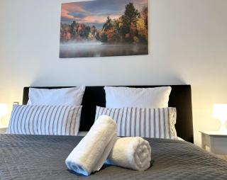 Modern City Apartment Kelkheim - 6