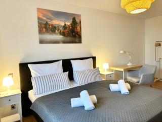 Modern City Apartment Kelkheim - 7