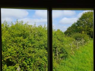 Hill Top Hideaway Shepherds Hut with Hot Tub - Woodham Mortimer - 5