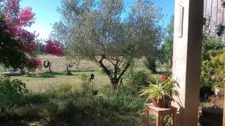 La rivière - Damazan - 6