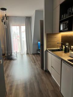 Cozy Apartment in Old Riga & Free Underground Parking - Riga - 3
