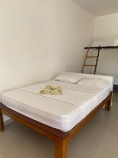 hotel palmares beach - Palomino - 7