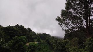 Casa Jaspe Monteverde - Balcón vista en Monteverde - Monteverde - 7