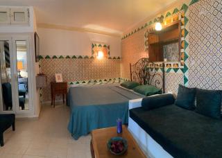 Emeraude vert - Sidi Bou Saïd - 1