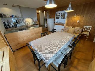 Grosse Ferienwohnung im Engadinerhaus - Sent - 2
