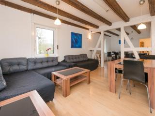 Modern group of homes close to Willingen and Winterberg with large garden - Medebach - 5